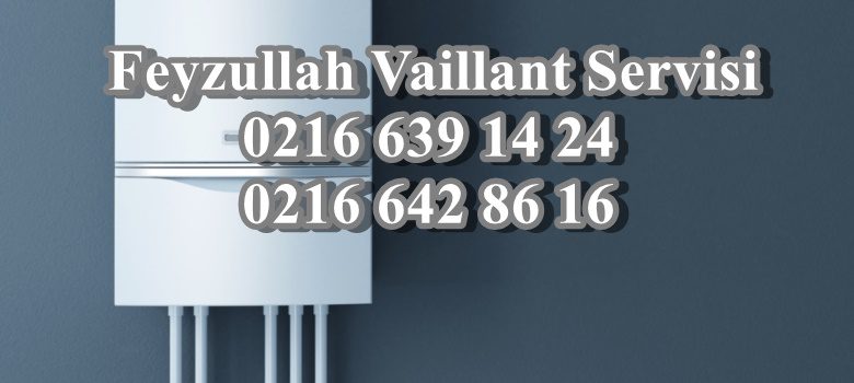 Maltepe ilçesi sınırları içerisinde Feyzullah Vaillant servisi hizmeti veren firmamız. Vaillant Markalı kombileriniz için bakım onarım hizmeti sunmaktadır. Maltepe ilçesi sınırları içerisinde Vaillant kombi arızalarınıza sonuç odaklı hizmet sunmaktadır. 