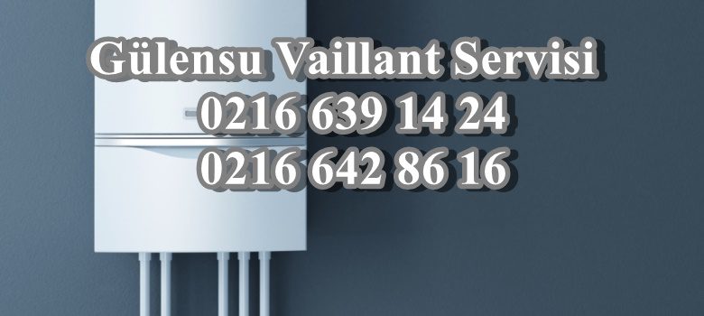 Gülensu Vaillant Servisi