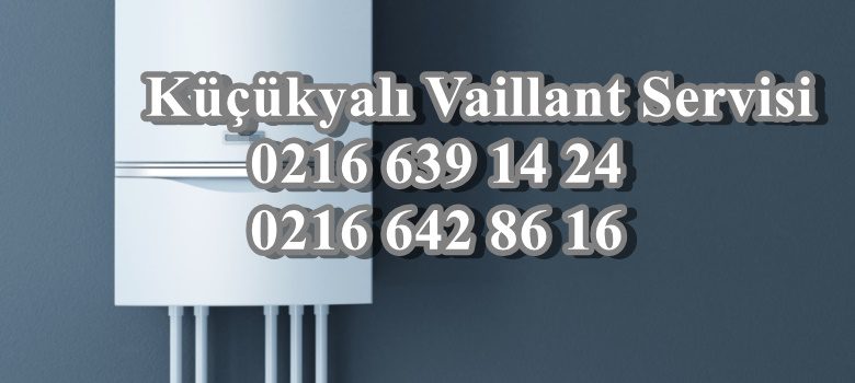 Küçükyalı Vaillant Servisi