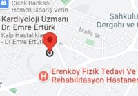 Merdivenköy Vaillant Servisi