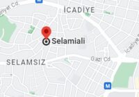 Selami Ali Vaillant Servisi